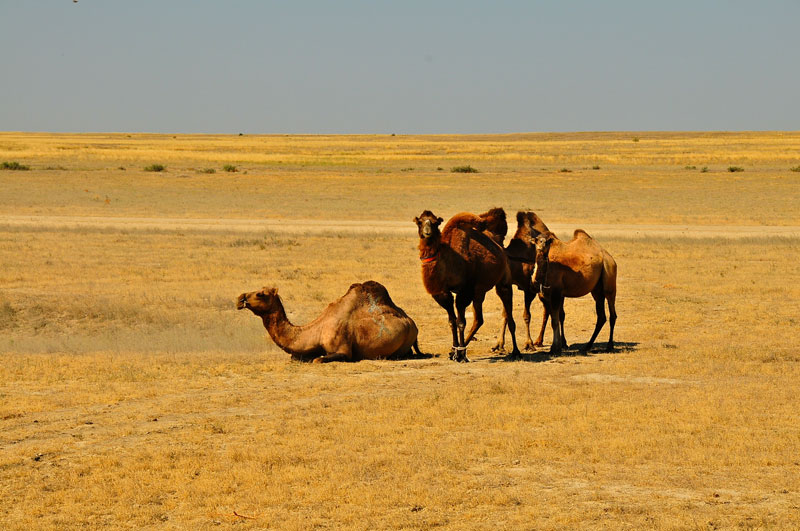 Kazakhstan - Asie Centrale